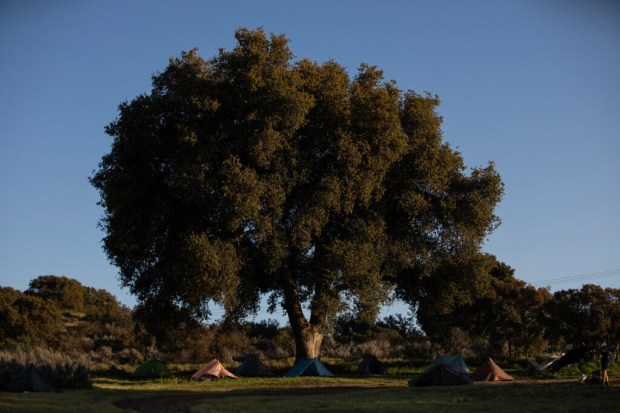 Hikers prepare to camp before starting their journey of more than 2,600 miles at Camp Lockett Event and Equestrian Facility on Friday, April 19, 2024, in Campo. (Ana Ramirez / The San Diego Union-Tribune)