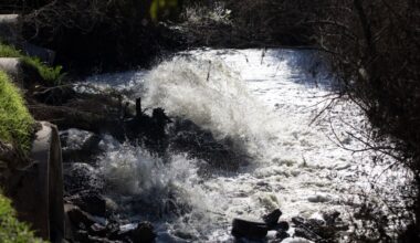 San Diego County hires D.C. lobbying firm to push federal action on Tijuana River sewage crisis – San Diego Union-Tribune