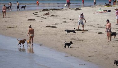 Sewage spill closes Dog Beach, traffic lanes in Ocean Beach