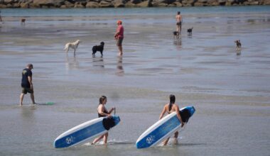 Water at Ocean Beach’s Dog Beach closed because of sewage spill – San Diego Union-Tribune