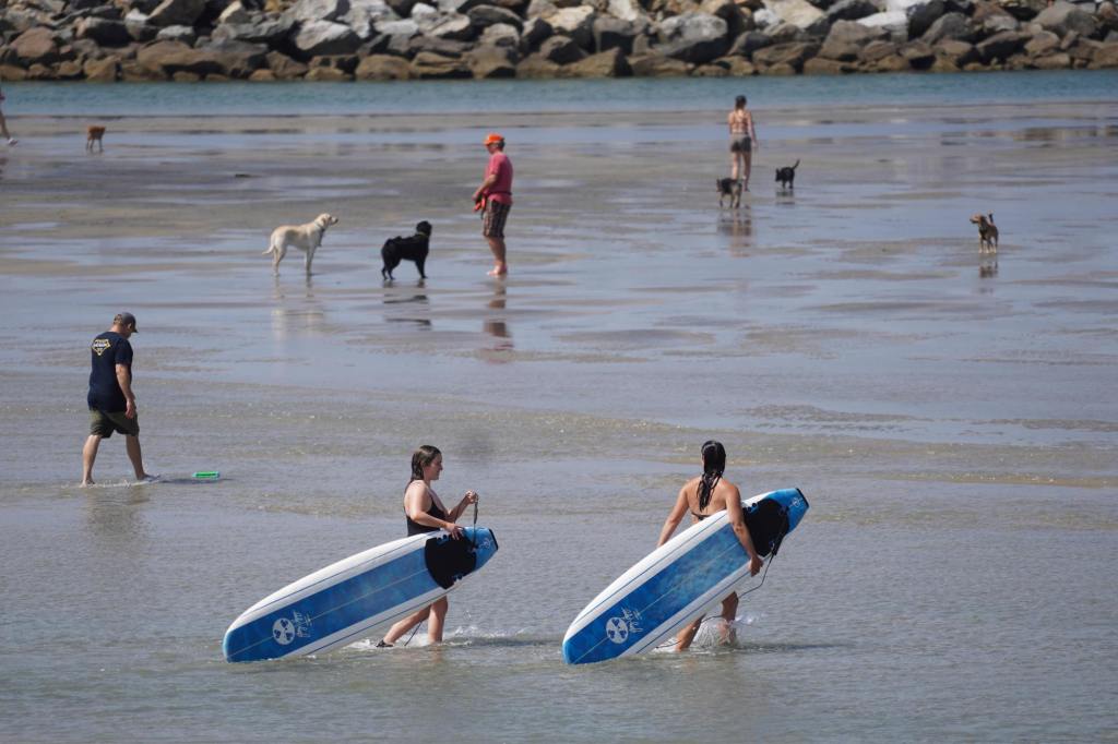 Water at Ocean Beach’s Dog Beach closed because of sewage spill – San Diego Union-Tribune