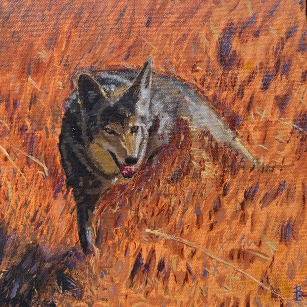 "Silent Territory" by Joshua Orozco is part of a new exhibition at Art Scene West gallery in Seaport Village titled "Natures Narrative." (Art Scene West)