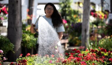Conserve water? Your bill is about to go up — while your water-guzzling neighbor’s goes down. Here’s why. – San Diego Union-Tribune