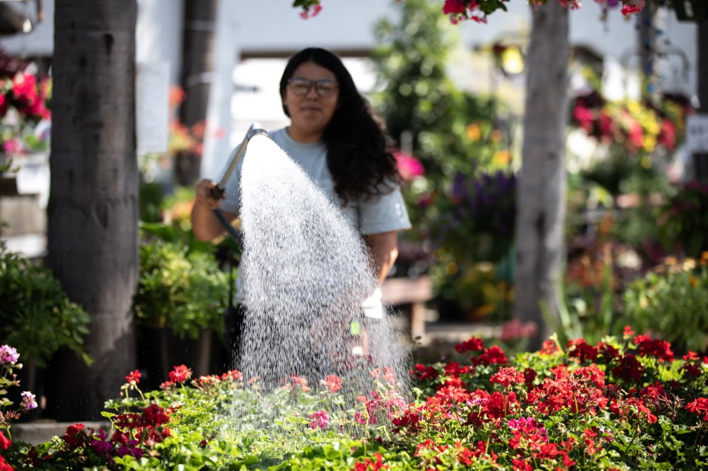 Conserve water? Your bill is about to go up — while your water-guzzling neighbor’s goes down. Here’s why. – San Diego Union-Tribune
