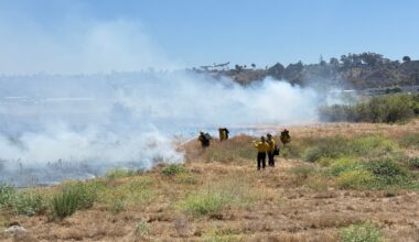 Oceanside Fire Department creates hand crews for hire