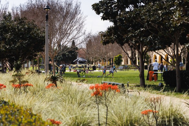 Children play on the grass area of the Arts District at Liberty Station on Wednesday, March 4, 2026. (Kristian Carreon / The San Diego Union-Tribune)