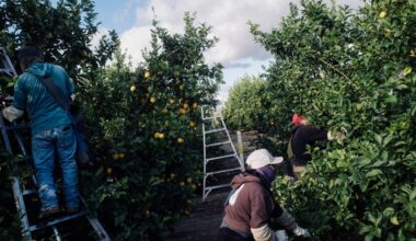 Farmworkers Day honors those 'who should have been honored all along'