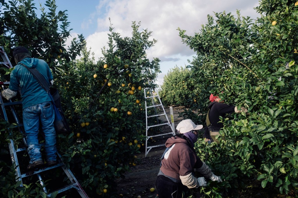 Farmworkers Day honors those 'who should have been honored all along'