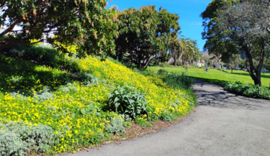 How Is SF's Jefferson Square Park A Year After Drug Raid?