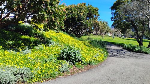 How Is SF's Jefferson Square Park A Year After Drug Raid?