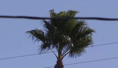 More winds batter Southland; Santa Anas expected for weekend – NBC Los Angeles