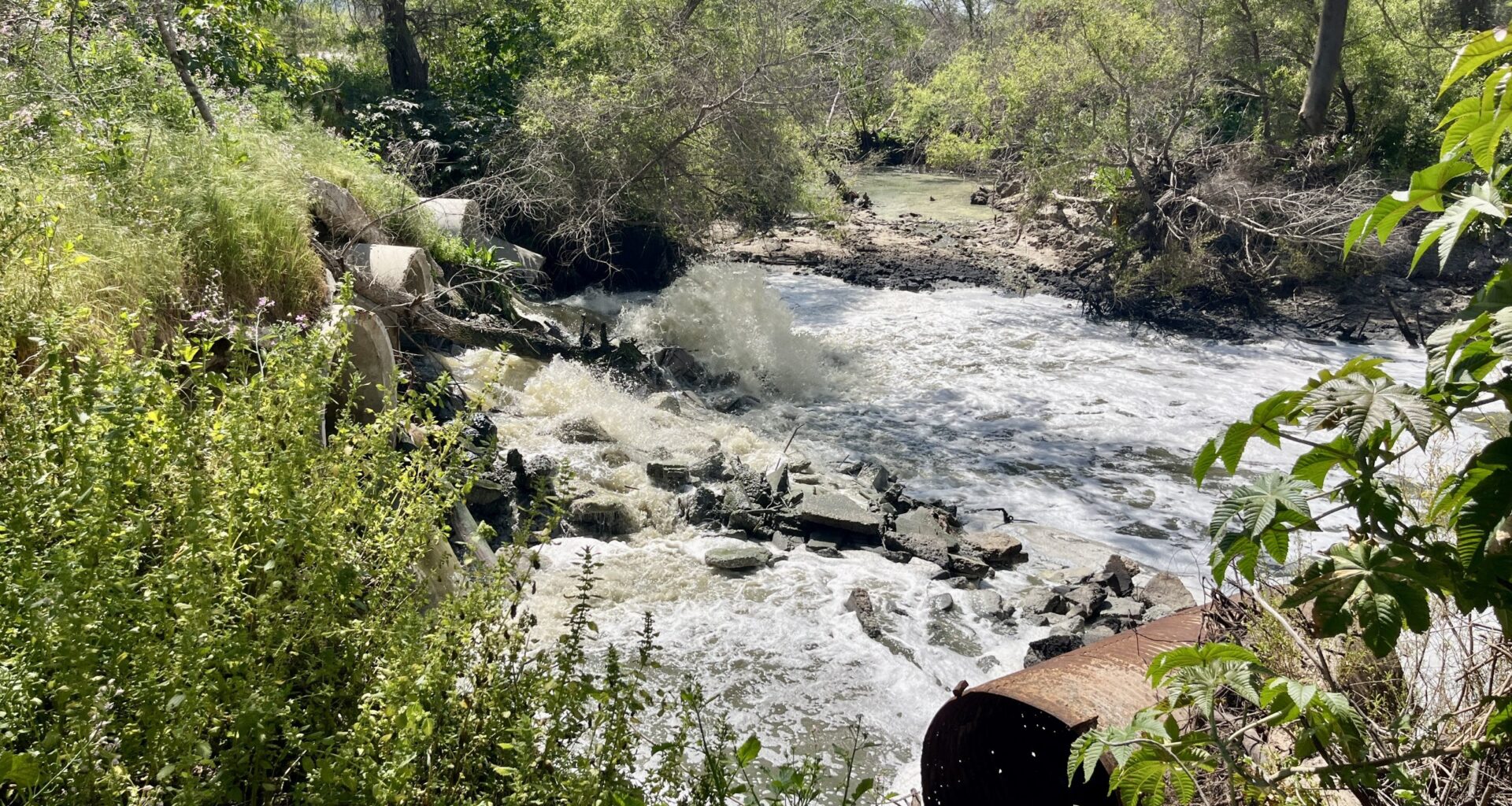 South Bay pollution is spiking amid San Diego heat