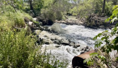 South Bay pollution is spiking amid San Diego heat