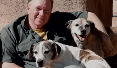 California animal sanctuary founder accused of attempted kidnapping scheme – NBC Los Angeles