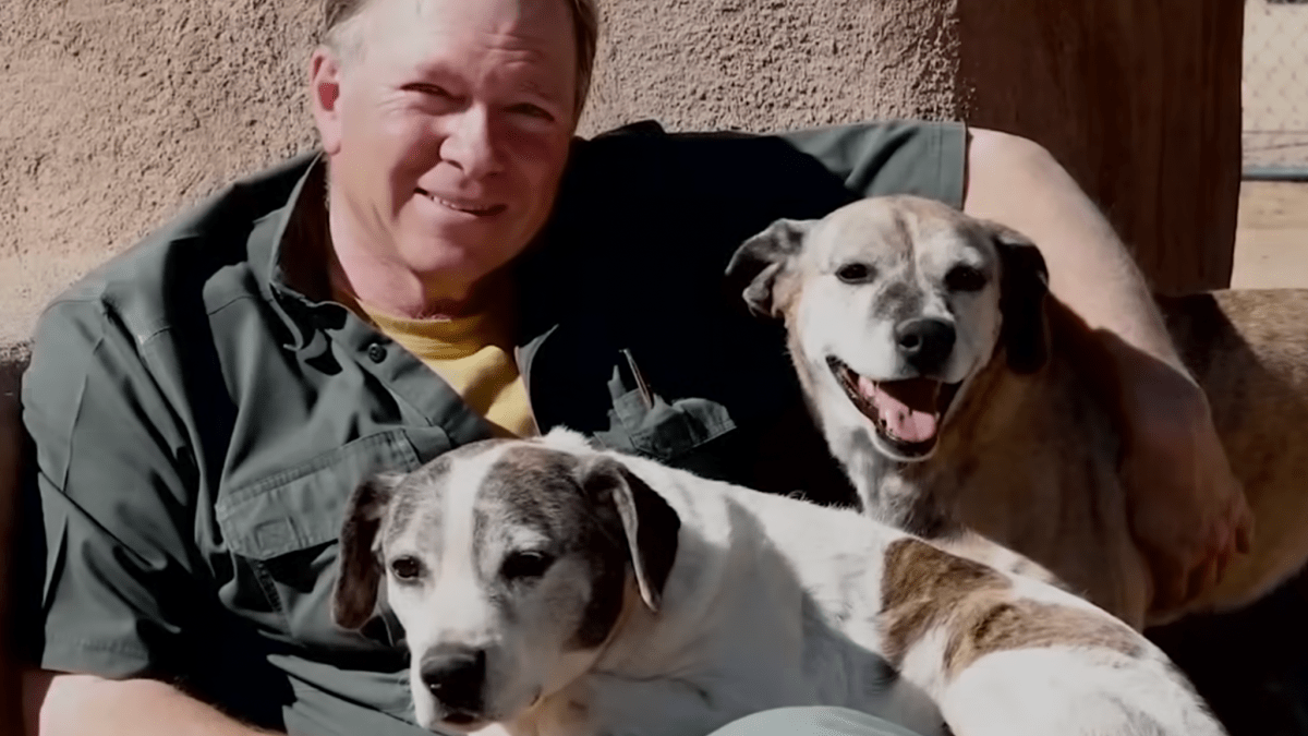 California animal sanctuary founder accused of attempted kidnapping scheme – NBC Los Angeles