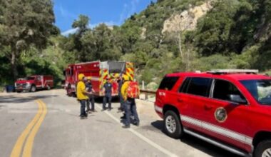 California hiker airlifted after being stung by fire ants on trail