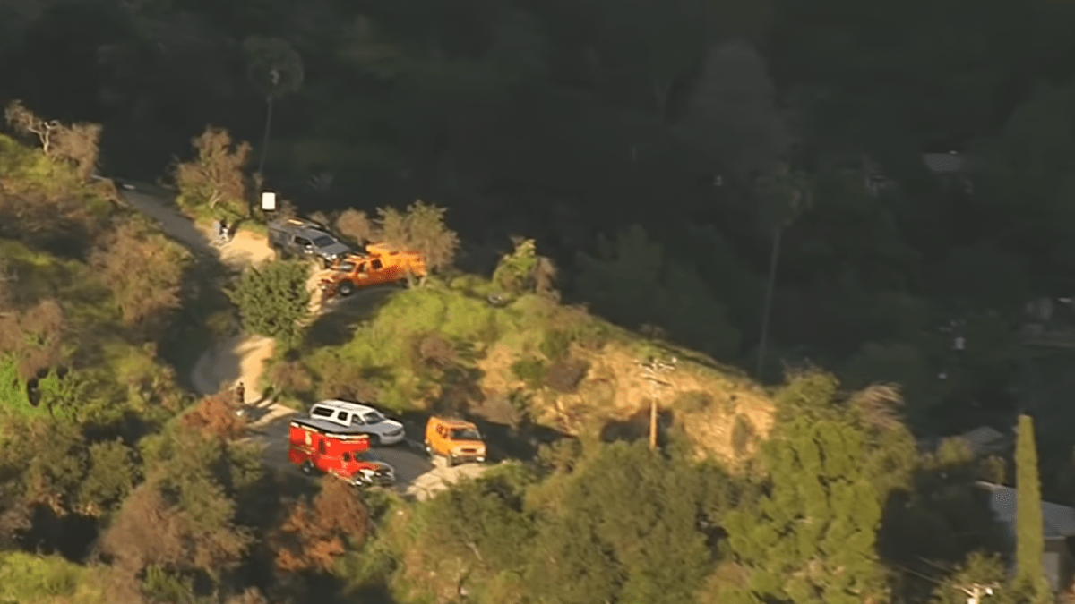 Hiker hurt trying to save dog on Mt. Wilson Trail – NBC Los Angeles