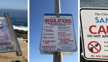 Tourist behavior toward sea lions raises concerns at La Jolla Cove – The Daily Aztec