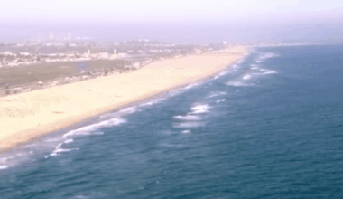 Great white shark sighting prompts Newport Beach water closures – NBC Los Angeles
