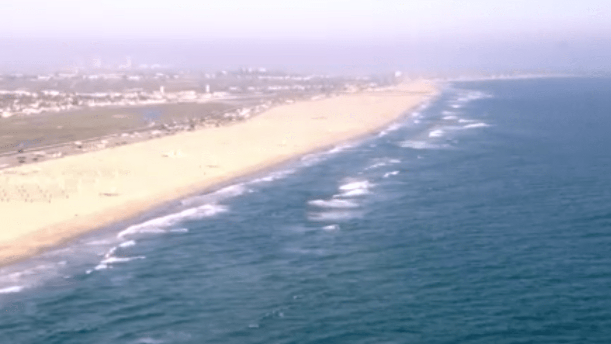 Great white shark sighting prompts Newport Beach water closures – NBC Los Angeles