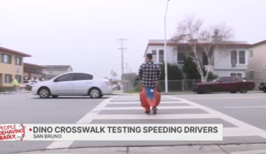 Commentary: How a T-Rex Costume and a Police Sting Underscores Bay Area's Deadly Driver Problem