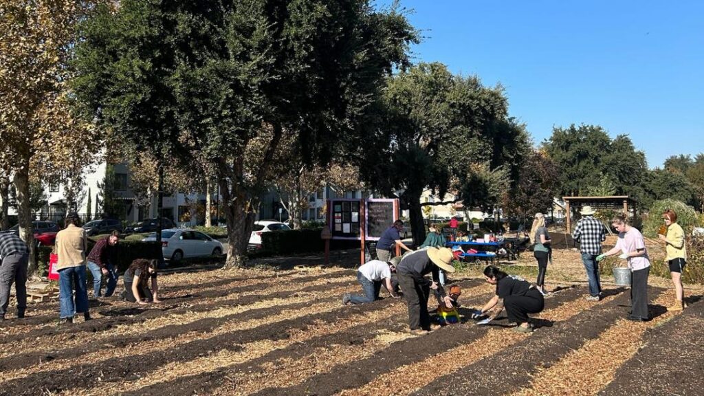 Seeds of Solidarity farm