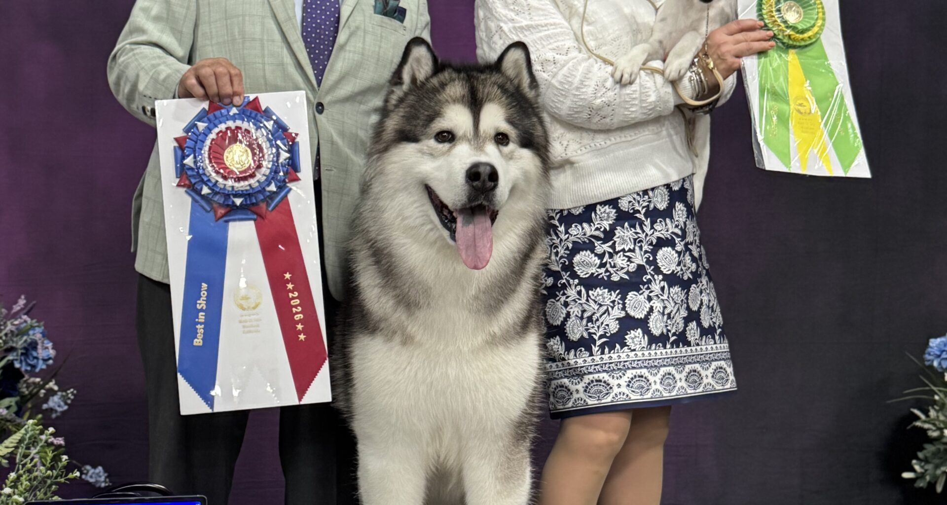 Oakland Kennel Club – Saturday, March 21, 2026