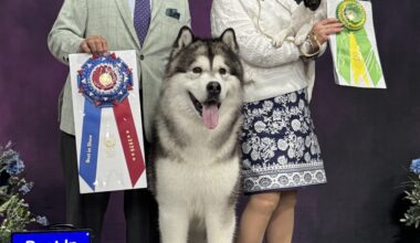 Oakland Kennel Club – Saturday, March 21, 2026