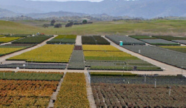 Horticulture Census: California leads national sales with $3.07 billion