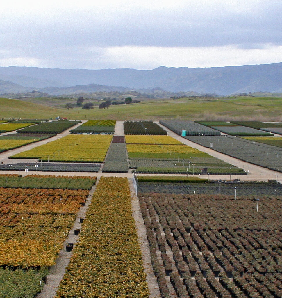 Horticulture Census: California leads national sales with $3.07 billion