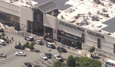 Police activity at Stonestown Galleria mall in San Francisco – NBC Bay Area