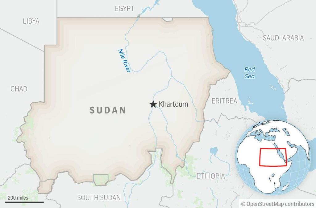 Sexual violence being used as a weapon in Sudan's war: doctors group