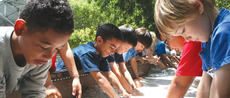 Go hands-on this summer at California Science Center camps