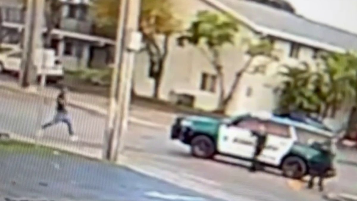 Surveillance shows deputies shoot and kill man with machete – NBC 6 South Florida