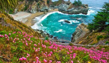 The Essential Guide to Julia Pfeiffer Burns State Park