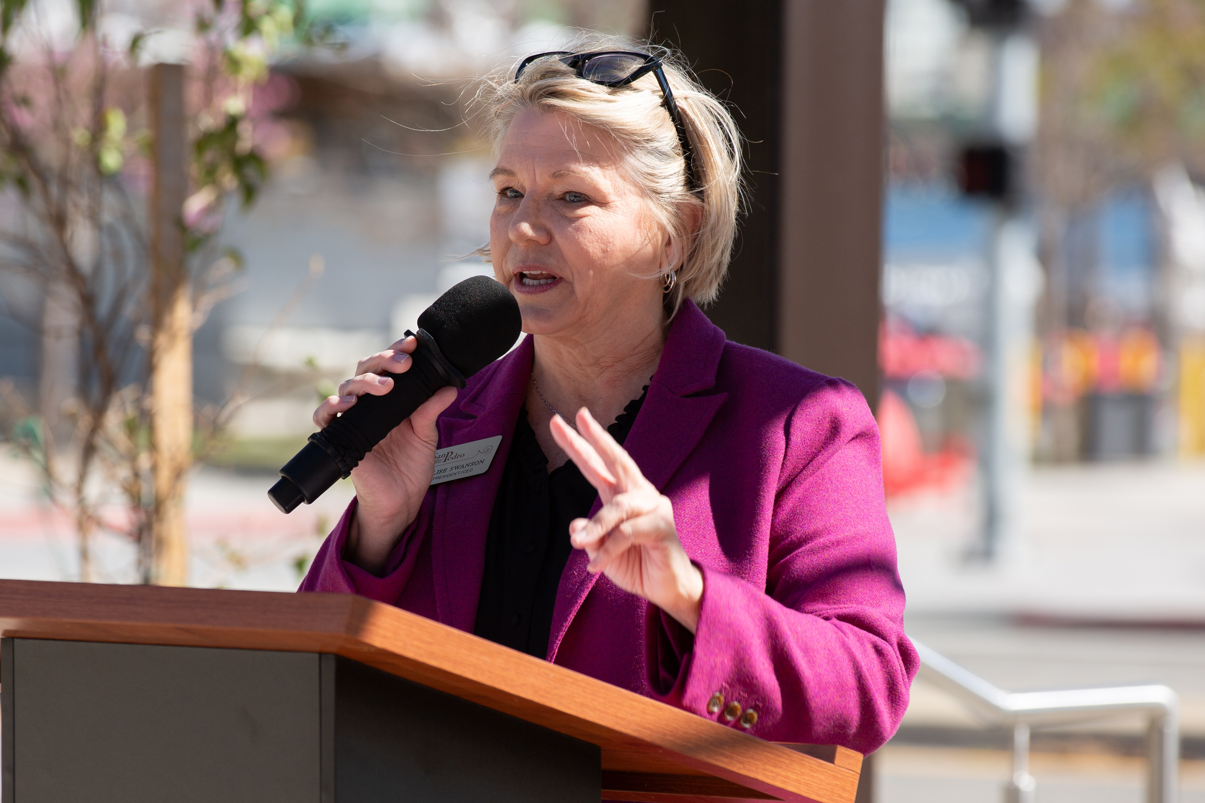 Elise Swanson, the president of the San Pedro Chamber of...
