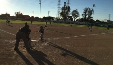 Carson City Council approves stormwater treatment vault at Calas Park – Daily Breeze