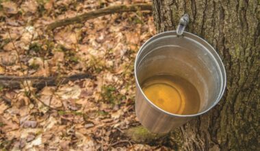 Oakland County community calendar March 1 and beyond – The Oakland Press