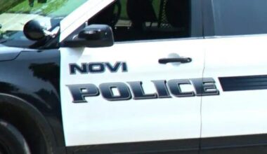 Newborn baby girl dead after apparent attack by family dog in Novi – The Oakland Press
