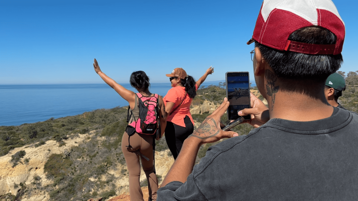 Torrey Pines State Natural Reserve reopens – NBC 7 San Diego