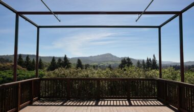 Mill Valley beer garden to open second location – Marin Independent Journal