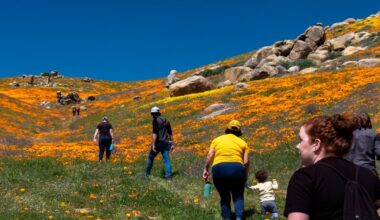 Tejon Ranch Conservancy Seeks Public Engagement Director, Operations Assistant