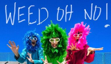 The Seaweed Sisters Debut First Full-Length Live Show, WEED OH NO!