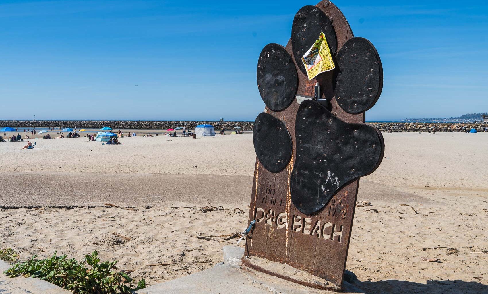 Sewage discharge causes county to close dog area in Ocean Beach
