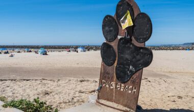 Sewage discharge causes county to close dog area in Ocean Beach