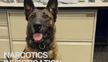 Three drug dealers arrested by Costa Mesa and Anaheim police; $100K and Ketamine seized