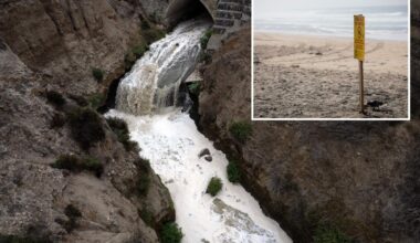 San Diego hires DC lobbyists to tackle Tijuana River sewage crisis