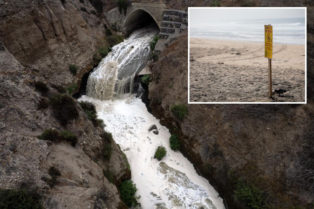 San Diego hires DC lobbyists to tackle Tijuana River sewage crisis