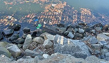 Lamentation – A reflection on the environment