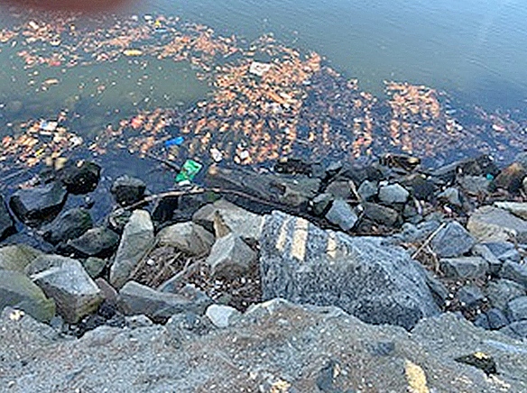 Lamentation – A reflection on the environment